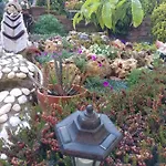 Caicai Bed & Breakfast 4*