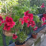 Bed & Breakfast Caicai Saluzzo