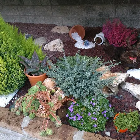 فندق مبيت وإفطار Caicai