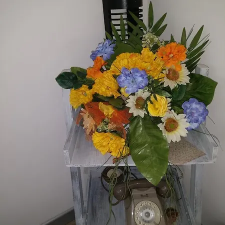 Caicai فندق مبيت وإفطار 4*