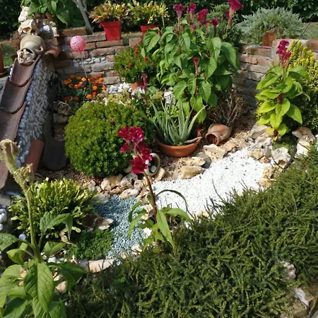 Bed & Breakfast Caicai 4*