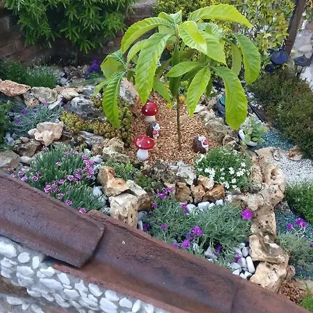 Caicai فندق مبيت وإفطار