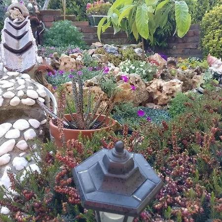 Caicai Bed & Breakfast 4*