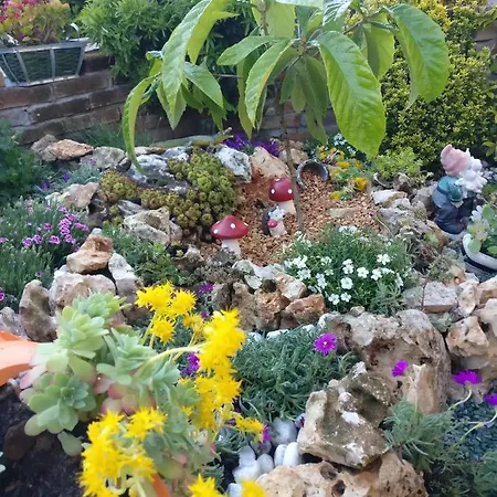 Caicai فندق مبيت وإفطار