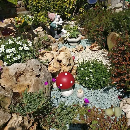 Caicai 4* سالوزو